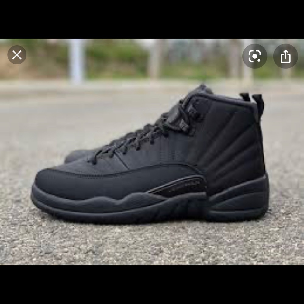 Jordan 12wintersized